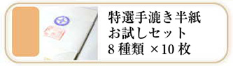 特選書道半紙のお試しセット